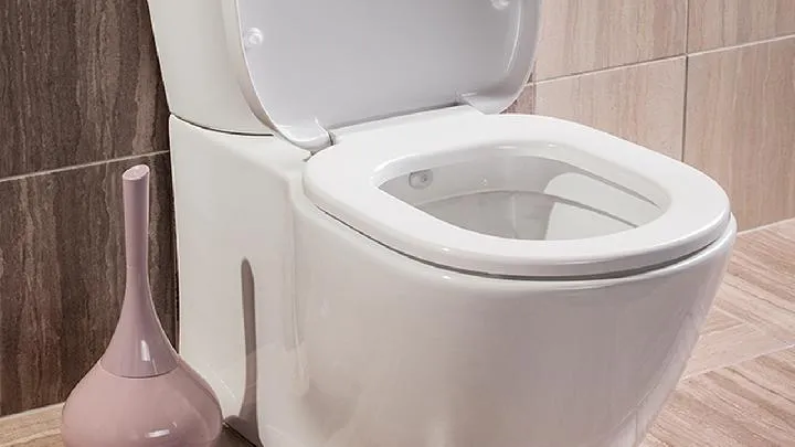 维生素b1治便秘吗