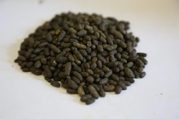 虚胖体质怎么才能快速的瘦下去中药小方