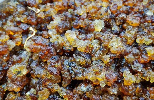 吃紫菜能减肥吗？