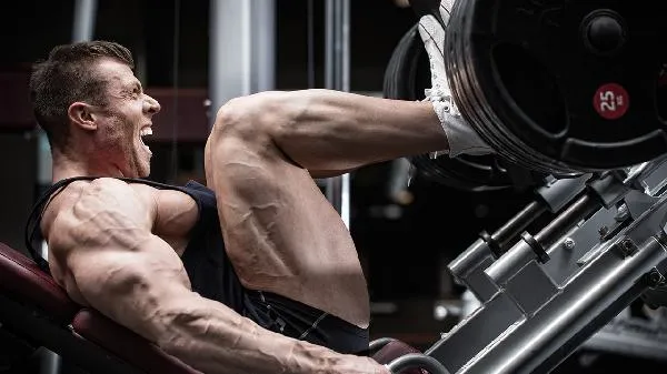 健身人士高蛋白饮食搭配什么好