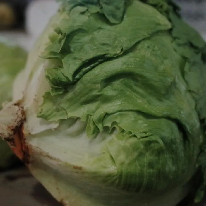 瘦身蔬菜汤的做法有哪些