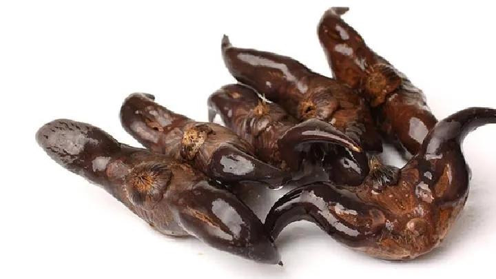 自然柠檬水怎样减肥？柠檬水的减肥方法是什么？