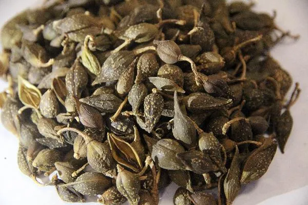 吃啥中药能减肥最快