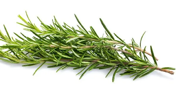 什么是高糖高脂肪高热量食物