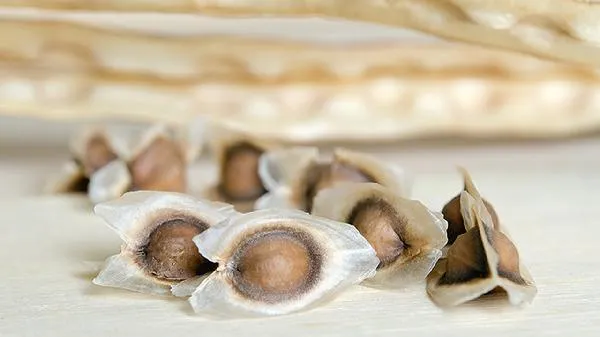 瘦子练肌肉要先增肥吗