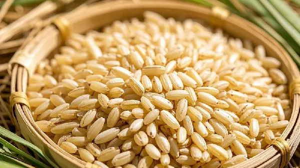 为什么糙米饭可以减肥