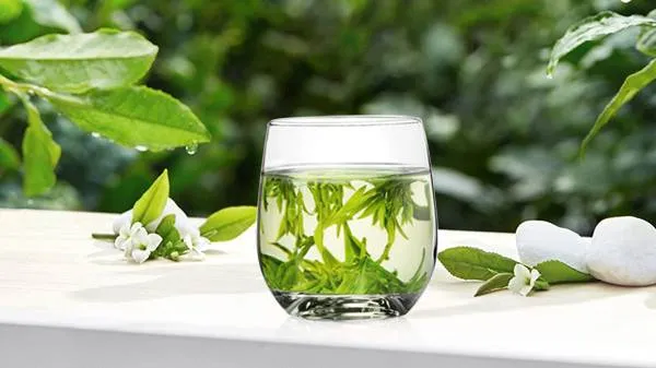 什么绿茶可以瘦身刮油