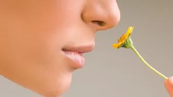 春天如何预防过敏性鼻炎