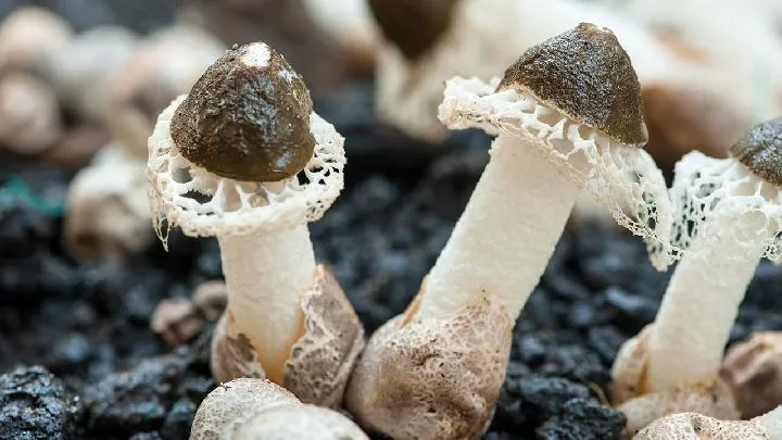月经一周后减肥方法有哪些？经期过后如何减肥？