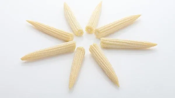 谷物脆片热量高吗