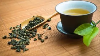 春茶能够趁“鲜”喝吗