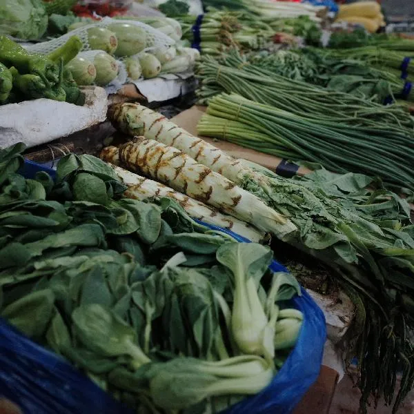 吃什么蔬菜减肥最快最有效要怎么食用