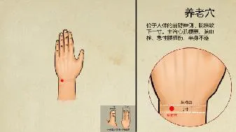 如何才能科学养生 必知的养生窍门