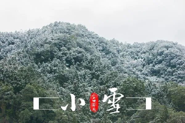 冬天容易减肥还是夏天容易减肥