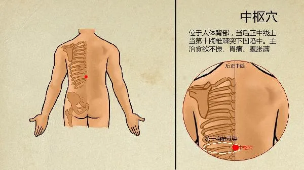 老年人出汗中医如何治疗