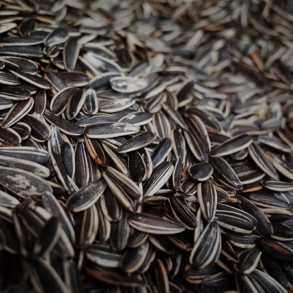 瓜子跟薯片哪个热量高