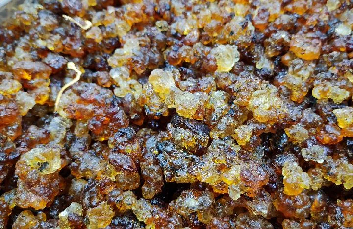 奇亚籽真的能减肥吗 奇亚籽减肥怎么吃