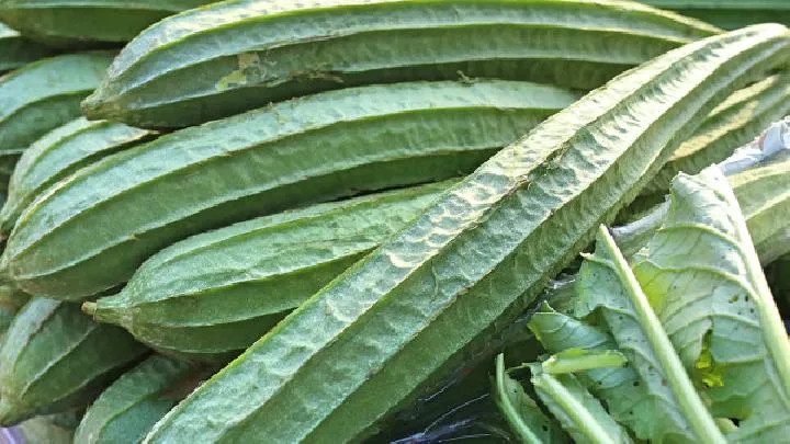 产后恢复身材最佳时间？盘点产妇减肥的最佳时间