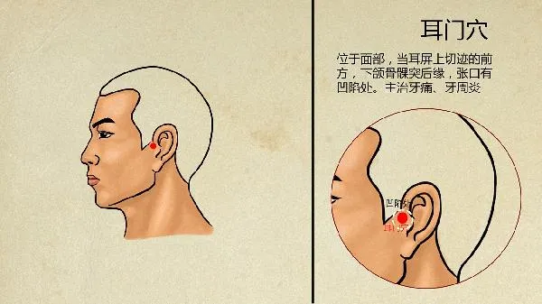 中医消脂减肥配方汤