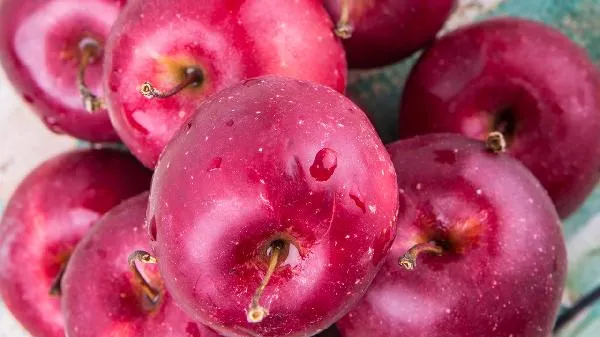 苹果煮水真能减肥吗