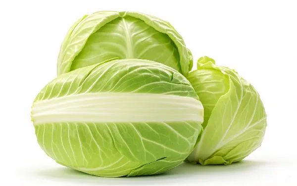 经常吃包菜有什么好处与坏处