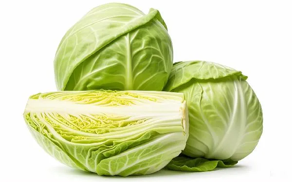 经常吃包菜有什么好处与坏处