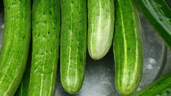 黄瓜汁什么时候喝最好 黄瓜汁每天喝多少合适