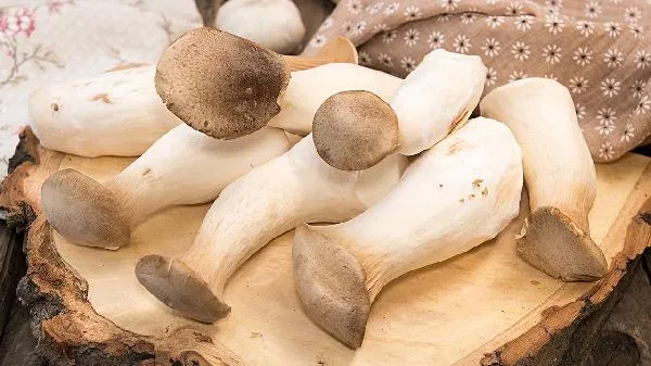 运动后吃碱性食物有用吗