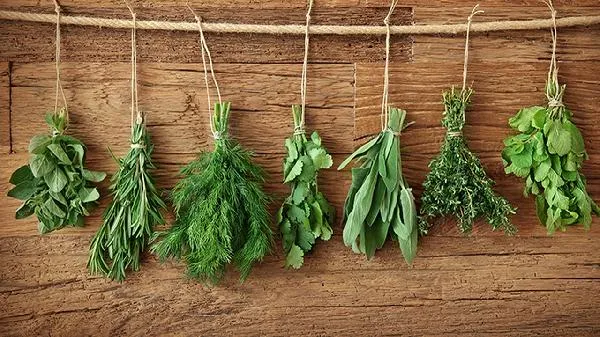 脂肪有点高吃什么菜和水果
