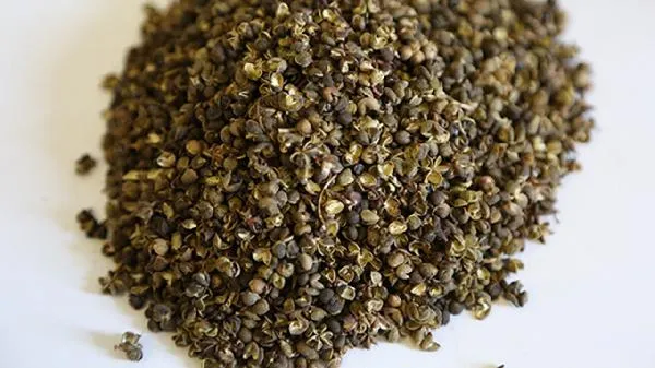 青花椒如何保存不变味