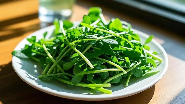 野菜有哪些可以吃