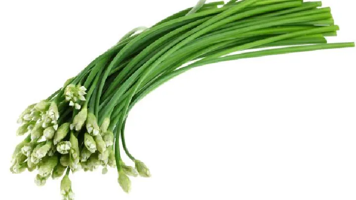 秋季如何饮食养生？秋季饮食养生应该注意什么？