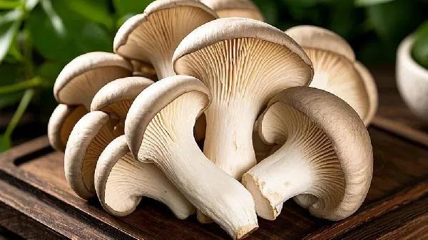 鲜蘑菇怎样保存最好