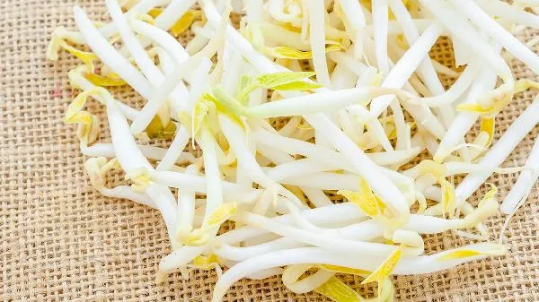 豆芽可以放几天常温