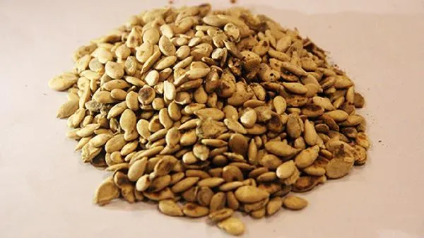 10粒瓜子相当于几碗米饭