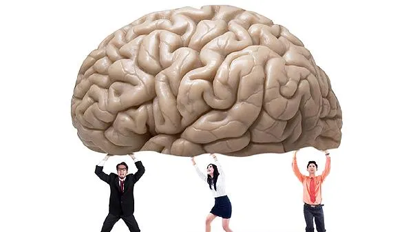 食疗补脑吃什么最好