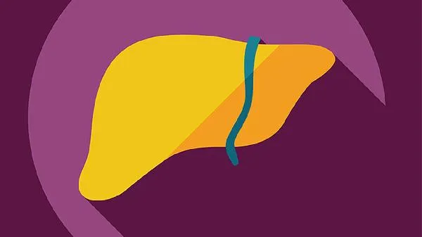 补铁补血还要靠这5类食物哦 动物肝脏最补铁