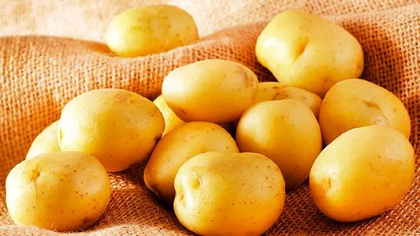 早上吃煮土豆会胖吗
