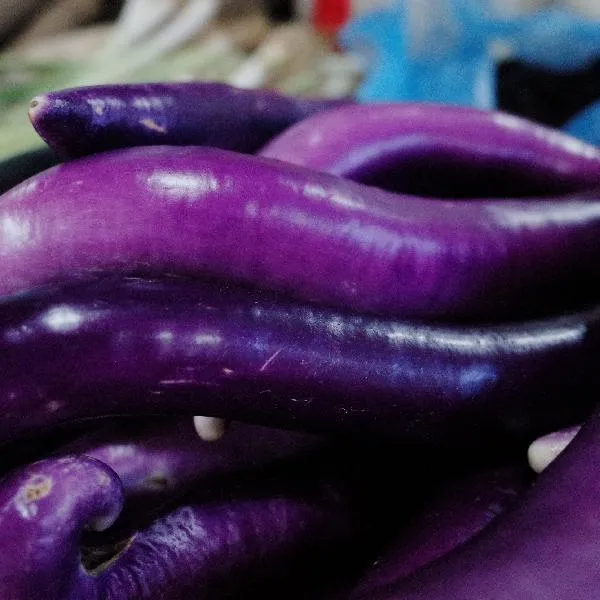 菜苔怎么炒好吃不发苦