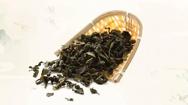 黑乌龙茶怎么喝减肥