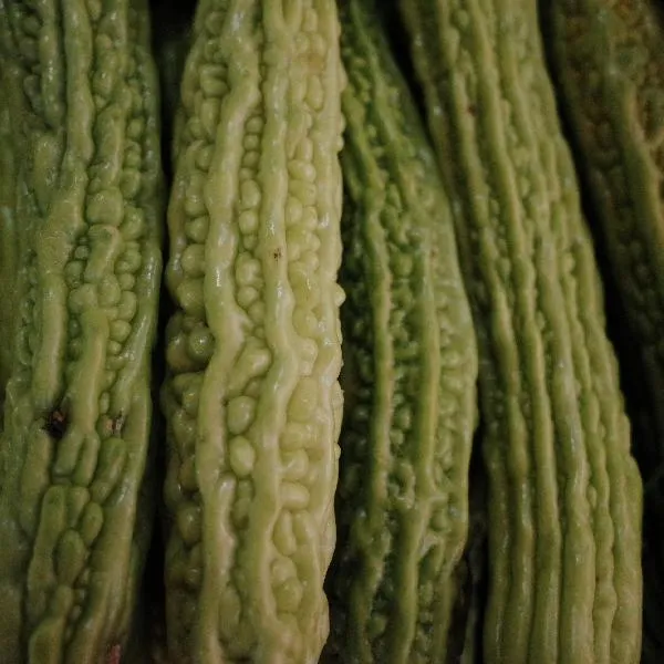 豆豉炒苦瓜怎样炒好吃