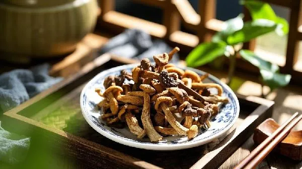 野生榛蘑怎么泡发