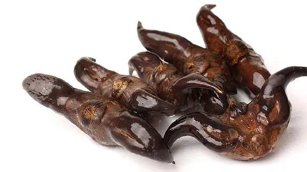 补肾精的食物有哪些
