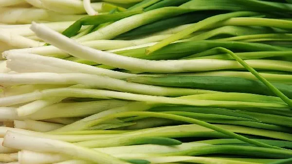韭菜切了可以过夜吗
