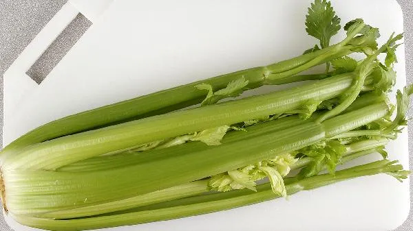 芹菜炒不熟会中毒吗