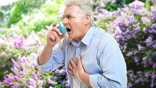 老人多吃葡萄有什么好处
