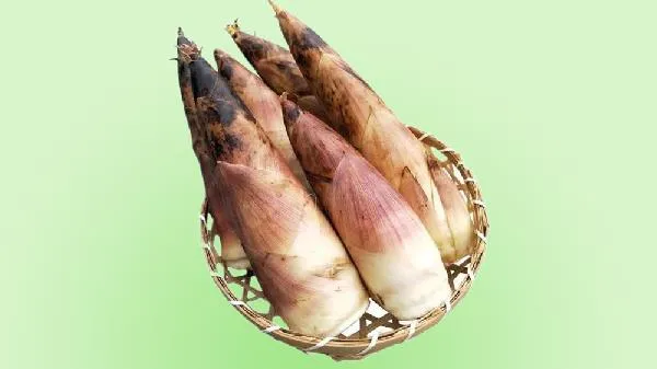 苦竹笋怎么做好吃