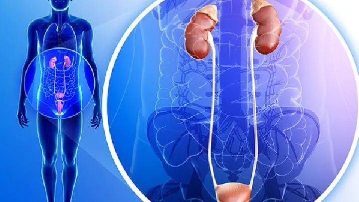 什么叫作中年油腻男？ 男人如何养生才能避免油腻