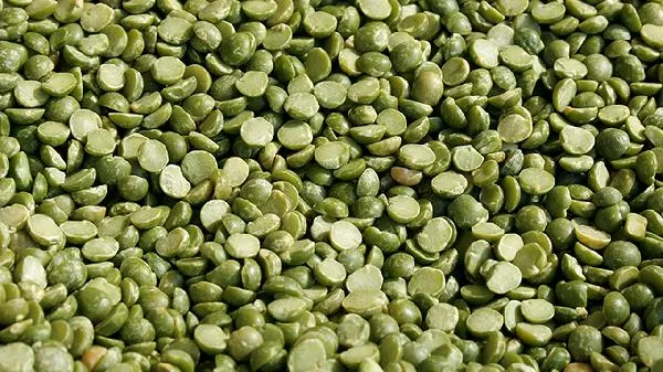 白扁豆祛湿吗 白扁豆怎么吃祛湿效果好