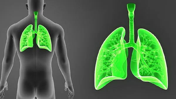 鱼内脏怎么做好吃又简单